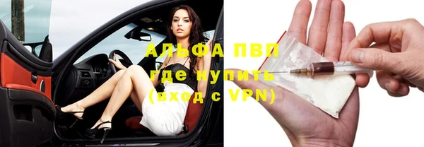 дживик Арсеньев