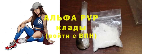 мяу мяу мука Няндома
