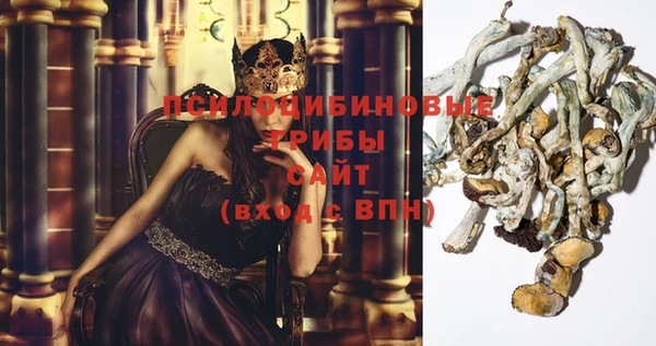 прущая мука Армянск