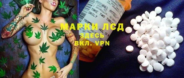мяу мяу мука Няндома