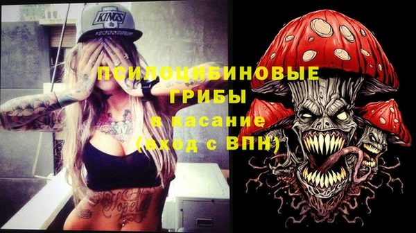 мдпв Нязепетровск
