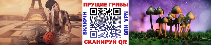 Псилоцибиновые грибы Psilocybe  Бабушкин 